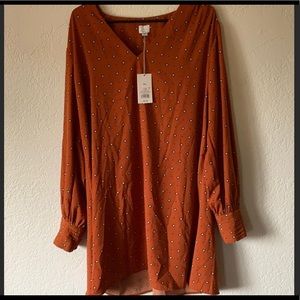 A New Day Fall Dress NWOT